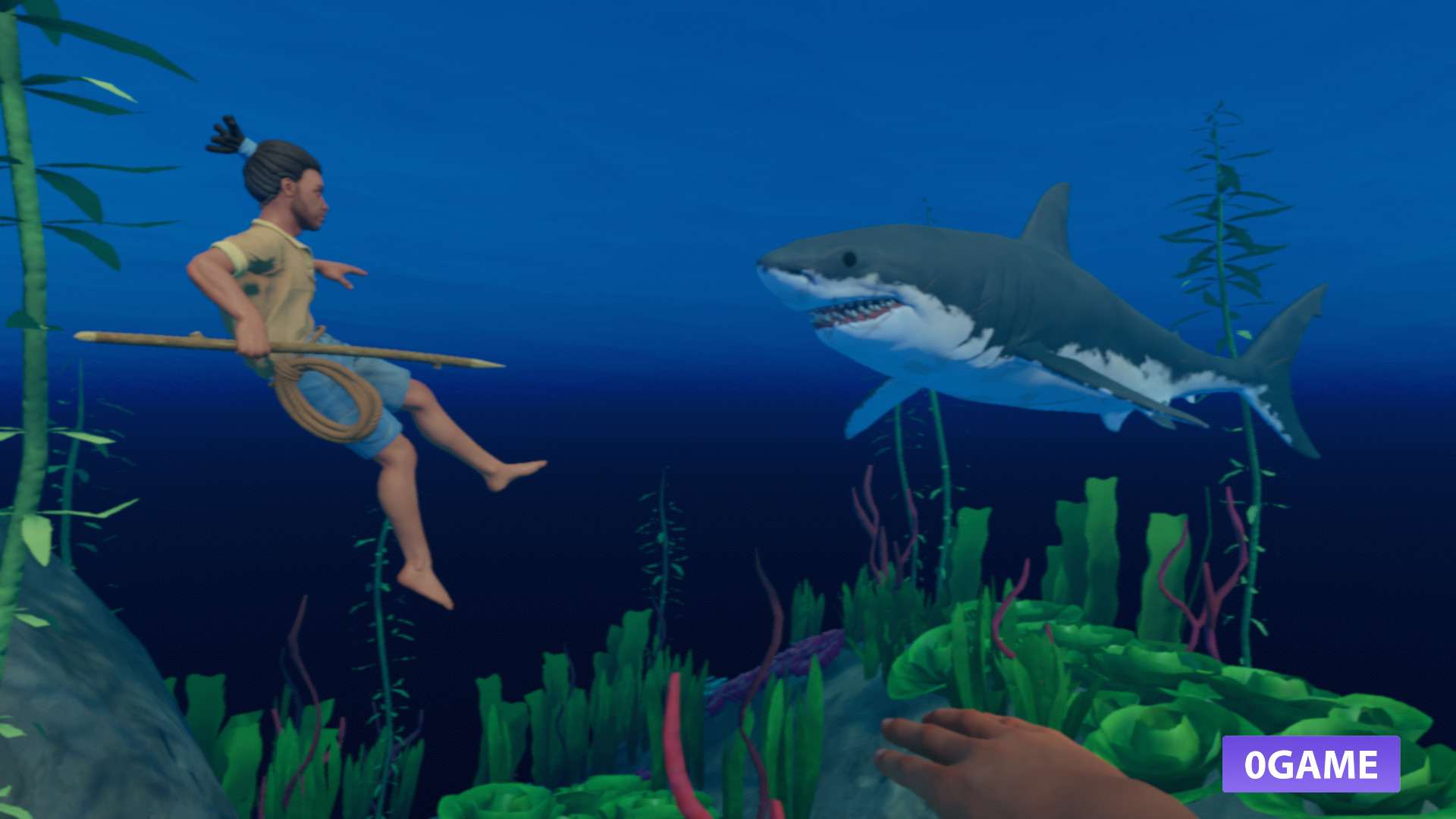 دانلود بازی رفت ( Raft ) نسخه کامل دارای جدیدترین اپدیت برای کامپیوتر